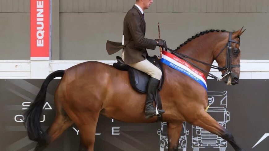 Cantering his way to HOYS