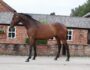 For Sale – Earl